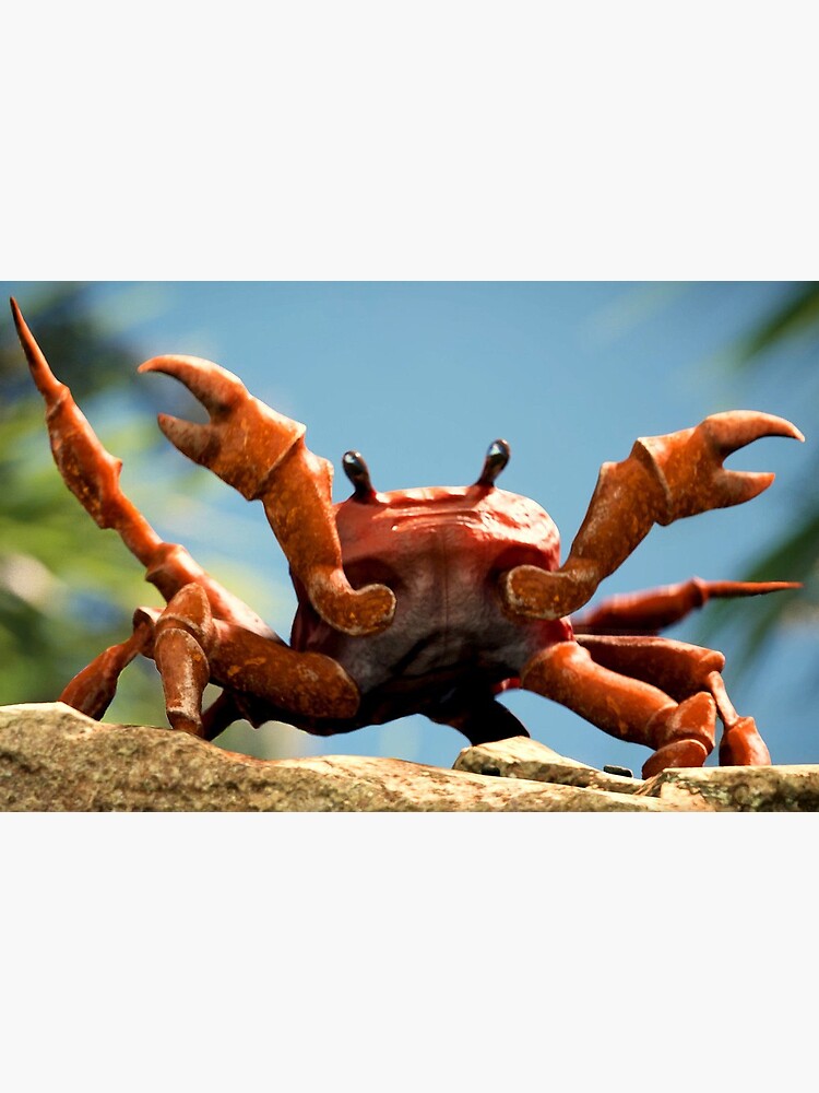 "Crab Rave" Art Print by Regseh Redbubble