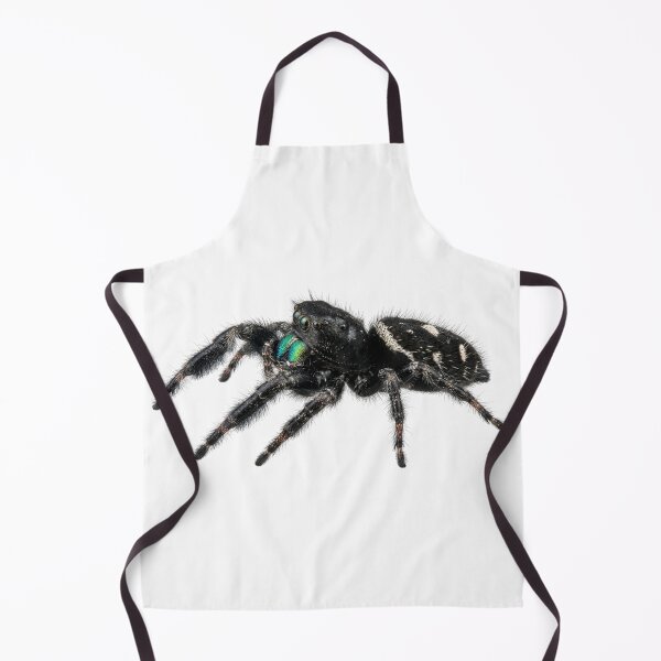 Item preview, Royal jumping spider designed and sold by Chaoscience.