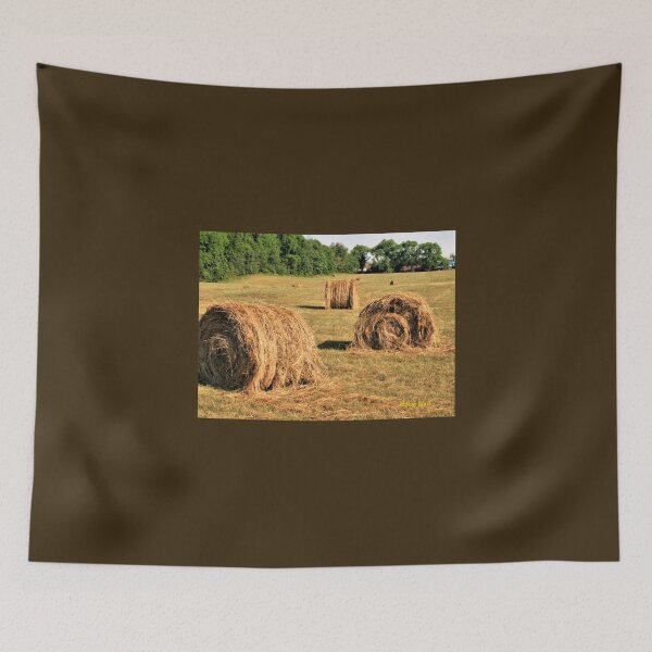 Item preview, "All Tied Up and Nowhere to Go"... prints and products designed and sold by Bob Hall©.