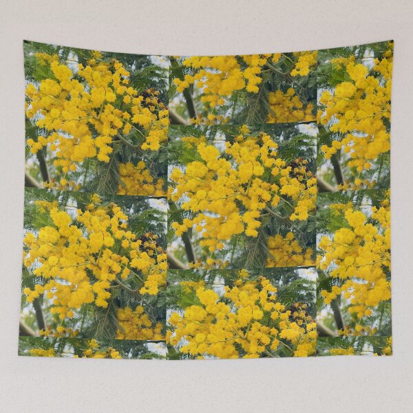 Item preview, Golden Mimosa Acacia Tree in Full Spring Bloom designed and sold by BalkanBloom.
