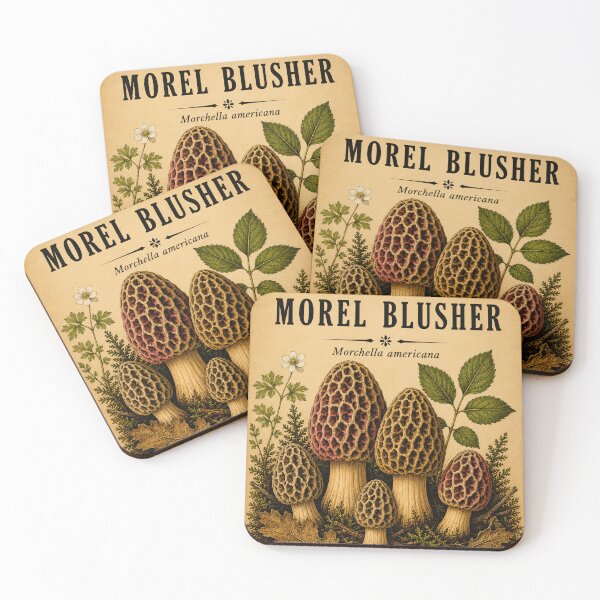 Item preview, Morel Blusher Mushroom designed and sold by StudioBloodmoon.