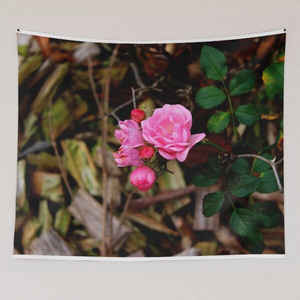 Item preview, Beautiful Pink Roses Photography: Romantic Love Rose Flower designed and sold by TaynaraVieira.