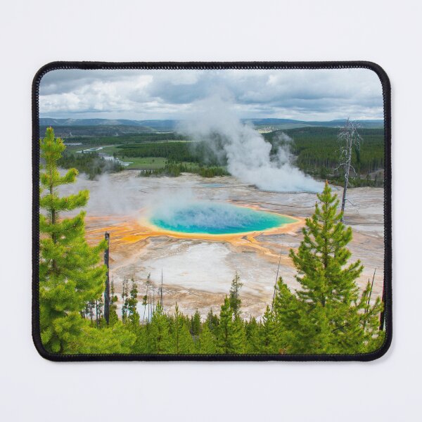 Item preview, Color Through the Trees designed and sold by CopperSkyPhoto.
