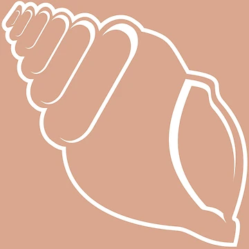 Artwork thumbnail, White Conch Shell Outline by Risa-C