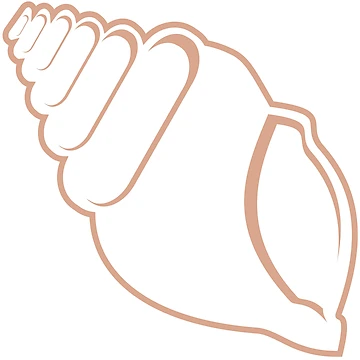 Artwork thumbnail, Tan Conch Shell Outline by Risa-C