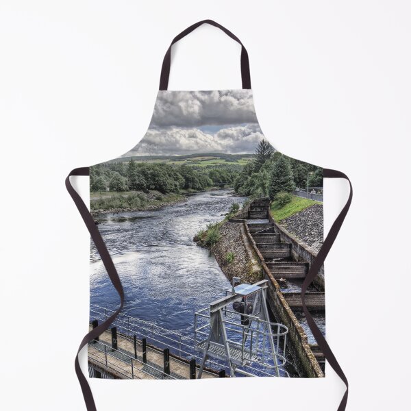 Item preview, Pitlochry Fish Ladder designed and sold by tomg.