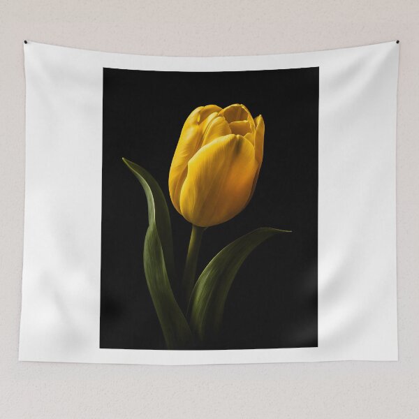 Item preview, Elegant Yellow Tulip Flower Dark Background designed and sold by bellaever.