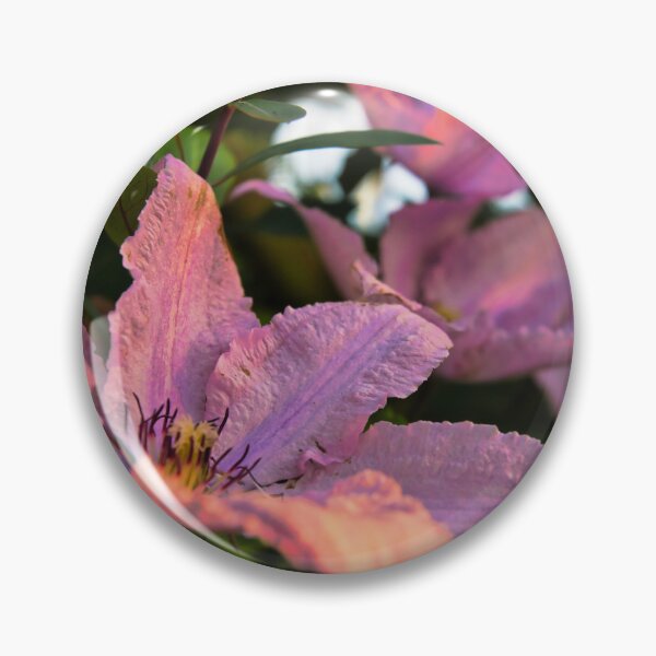 Item preview, Clematis designed and sold by JEZ22.