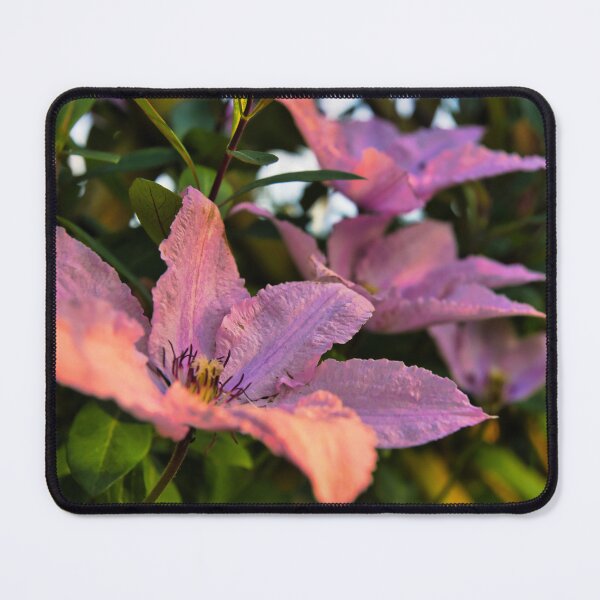 Item preview, Clematis designed and sold by JEZ22.