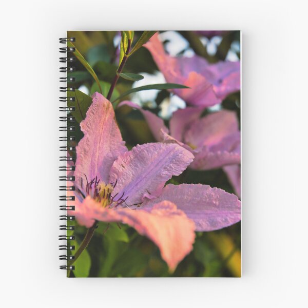 Item preview, Clematis designed and sold by JEZ22.