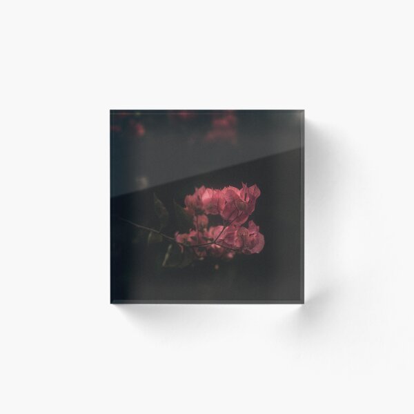 Artikelvorschau, Die Twilight Bougainvillea Vintage entworfen und verkauft von Tuhin S Polley.