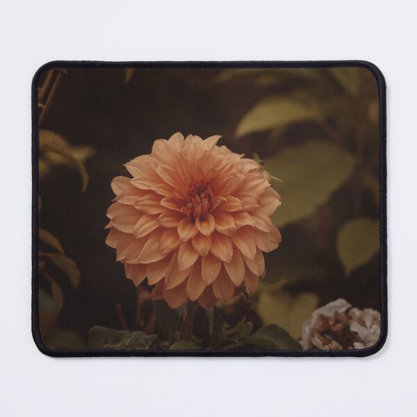 Item preview, The Academia Dahlia Vintage designed and sold by Tuhin S Polley.
