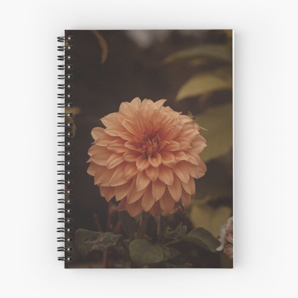 Item preview, The Academia Dahlia Vintage designed and sold by Tuhin S Polley.
