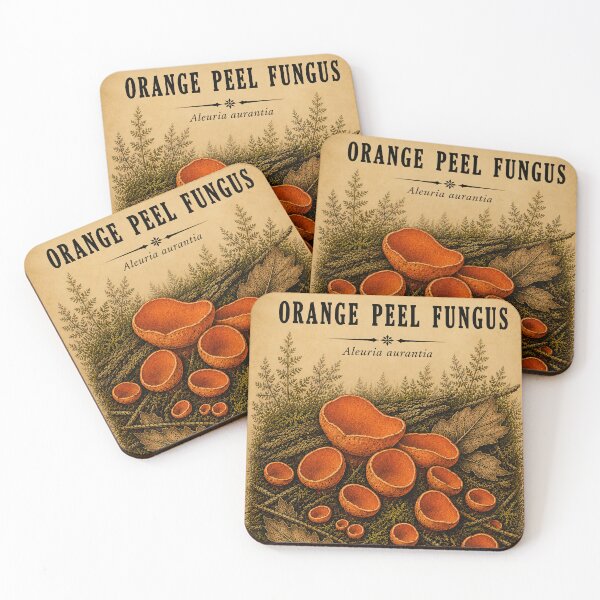 Item preview, Orange Peel Fungus designed and sold by StudioBloodmoon.
