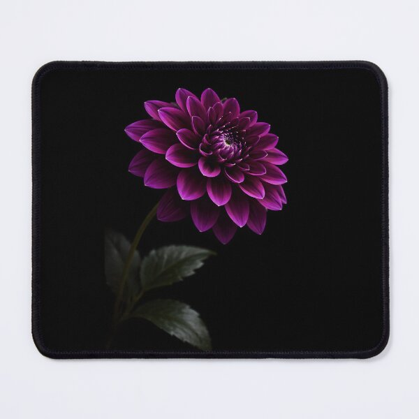 Item preview, Stunning Purple Dahlia Blossom on Black designed and sold by bellaever.