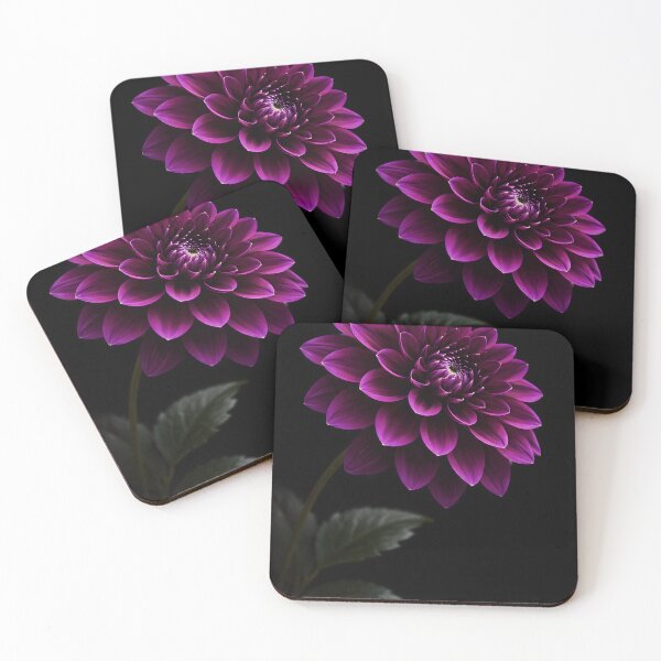Item preview, Stunning Purple Dahlia Blossom on Black designed and sold by bellaever.