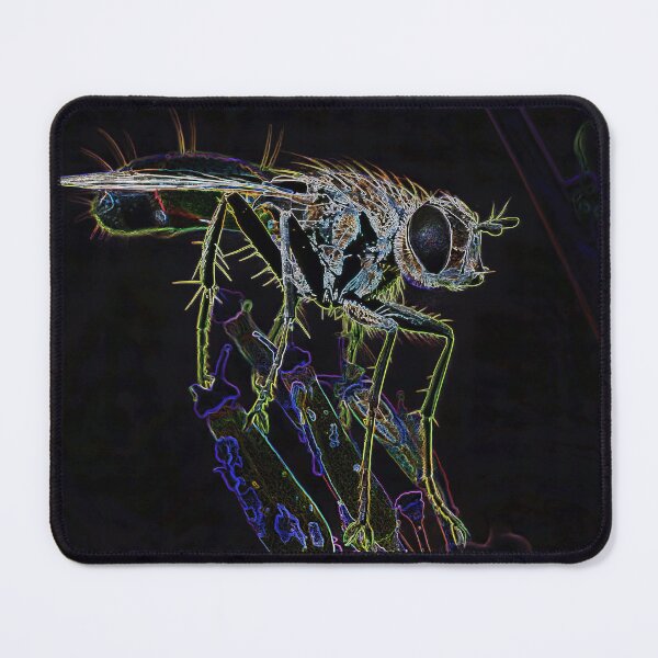 Item preview, Neon Robber Fly on Stem designed and sold by tonivainio.