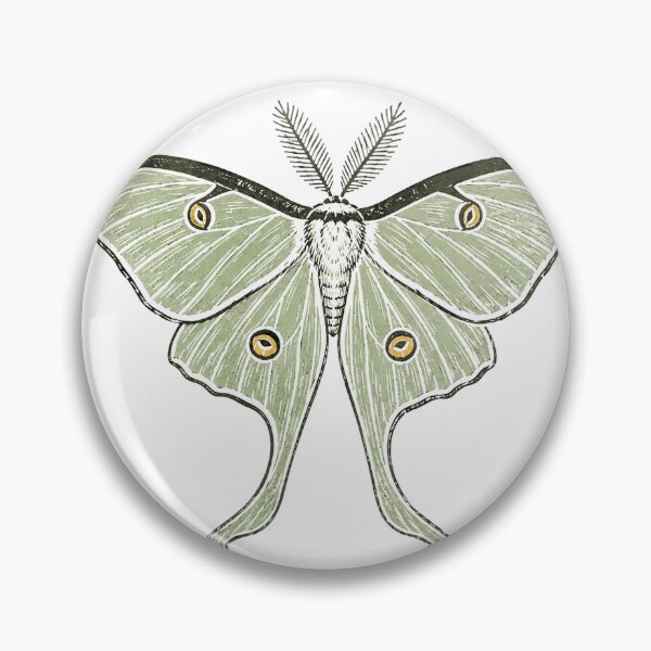 Item preview, Luna Moth Naturalist Specimen Sage Green Wings designed and sold by eignvalue.