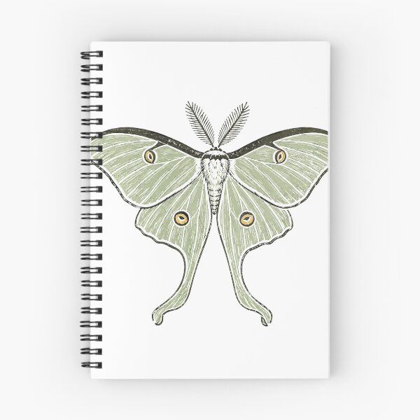 Item preview, Luna Moth Naturalist Specimen Sage Green Wings designed and sold by eignvalue.