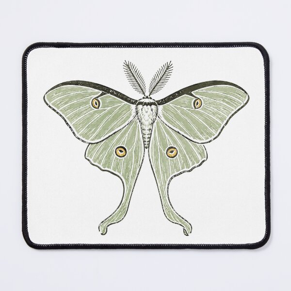 Item preview, Luna Moth Naturalist Specimen Sage Green Wings designed and sold by eignvalue.
