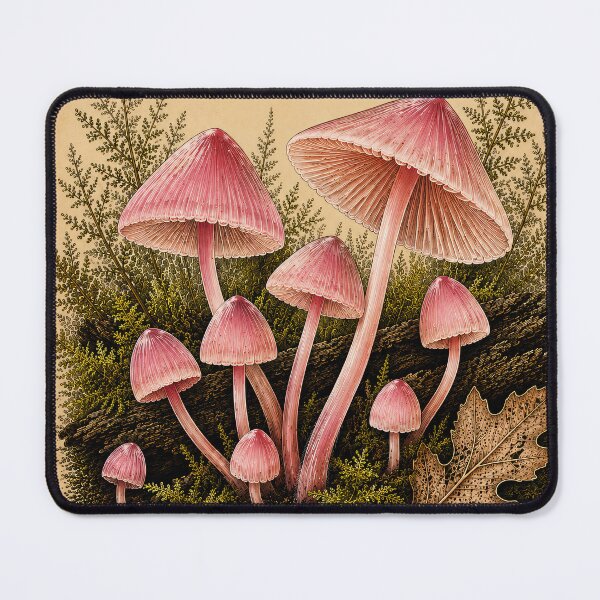 Item preview, Rosy Bonnett Mushroom designed and sold by StudioBloodmoon.