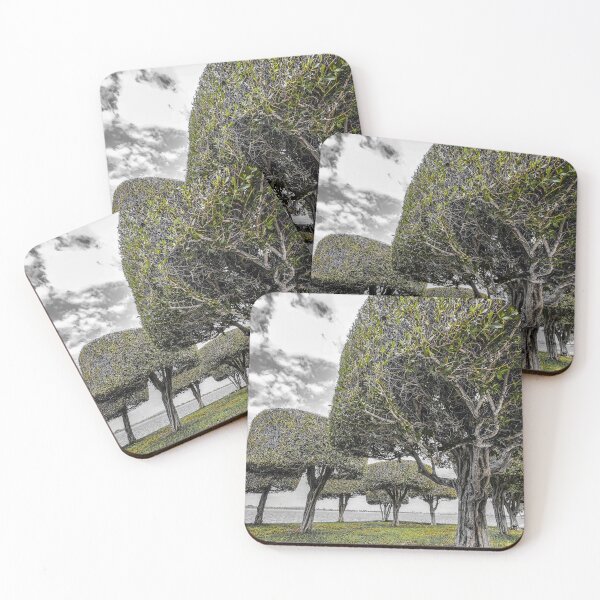 Item preview, Parque Corniche de Abu Dhabi | Fotografía costera en verde monocromático | Oasis urbano en plena naturaleza designed and sold by BlueberrySwan.