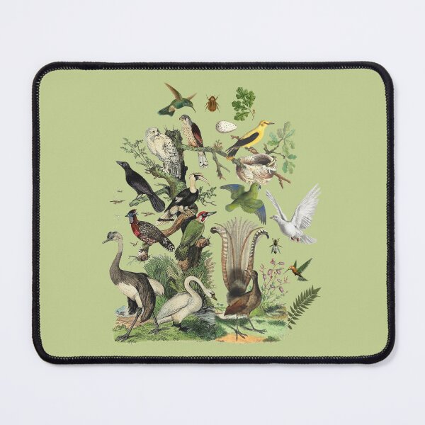 Item preview, Birds Watching Nature-Inspired Vintage Illustrations Collage  designed and sold by CanisArt.