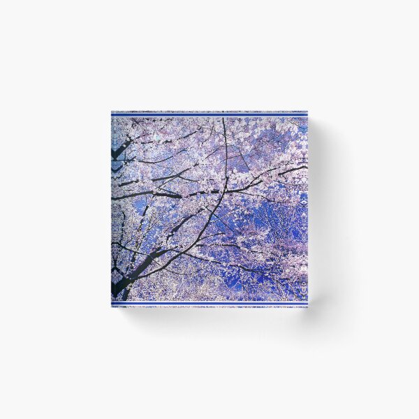 Item preview, Spring Blossoms, Dogwood and Cherry Trees designed and sold by AMacGPhilly.