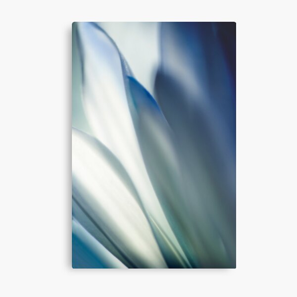 Blue Whisper Metal Print