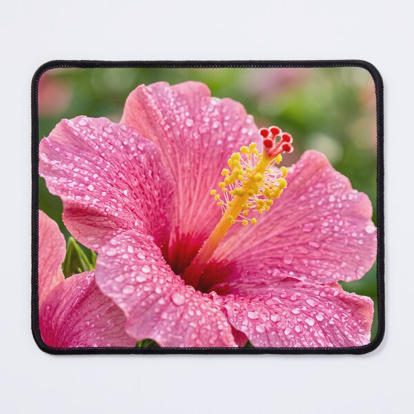 Item preview, Dewy Pink Hibiscus Flower Aesthetic designed and sold by Fashion Lovers Hub.
