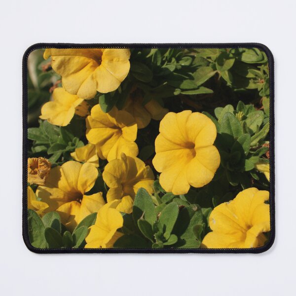 Item preview, Golden Hour designed and sold by Blue Blossoms .
