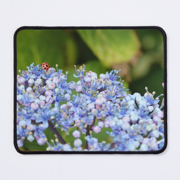 Item preview, Last of the bugs designed and sold by Blue Blossoms .