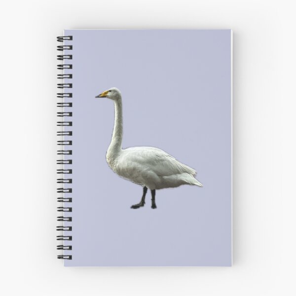 Item preview, Orlando Goose designed and sold by Archived by Vic.
