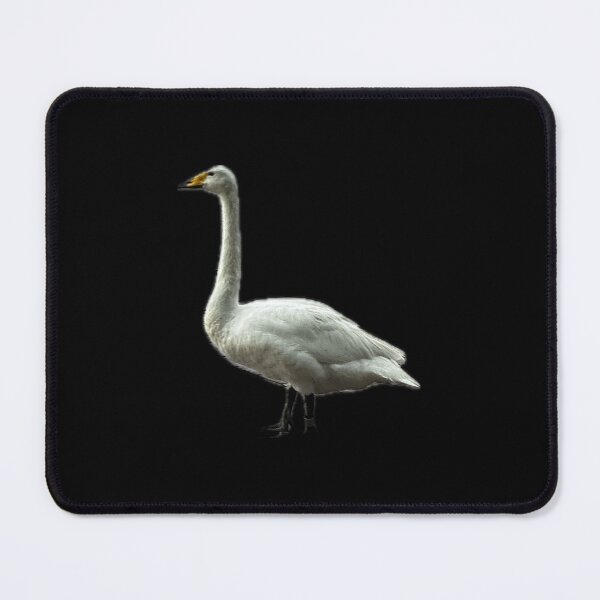 Item preview, Orlando Goose designed and sold by Archived by Vic.