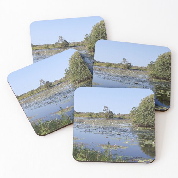 Item preview, Water Lilies at Lake Callemondah Gladstone designed and sold by 27Tammy27.