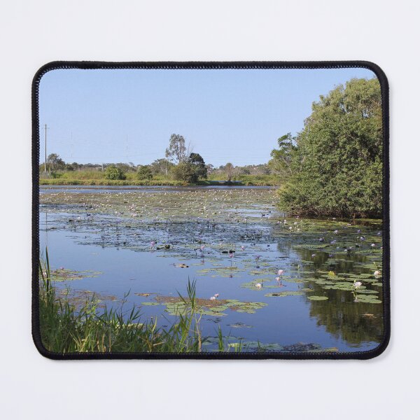 Item preview, Water Lilies at Lake Callemondah Gladstone designed and sold by 27Tammy27.