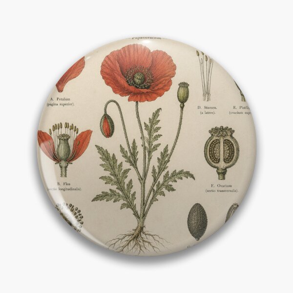 Item preview, Vintage Botanical Poppy Illustration designed and sold by Girlsale.