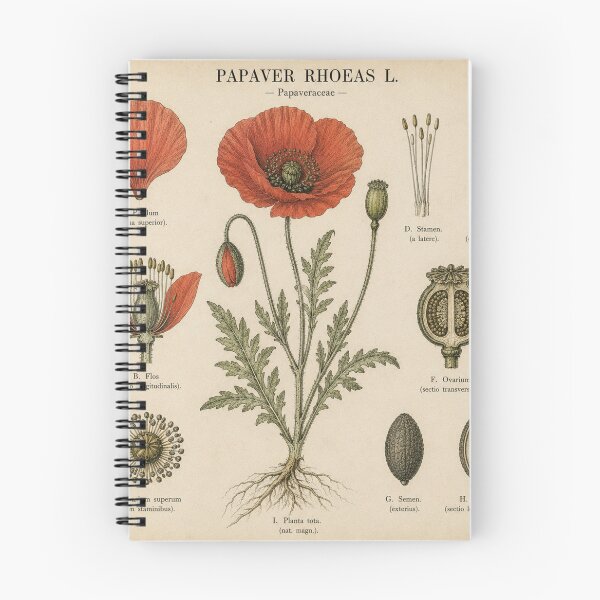 Item preview, Vintage Botanical Poppy Illustration designed and sold by Girlsale.