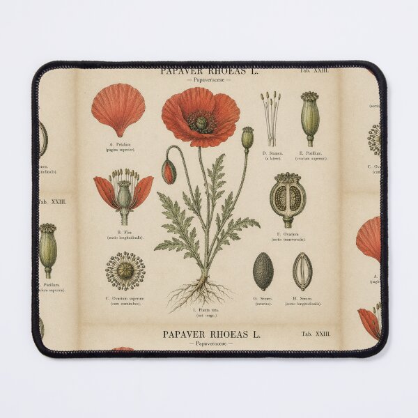 Item preview, Vintage Botanical Poppy Illustration designed and sold by Girlsale.