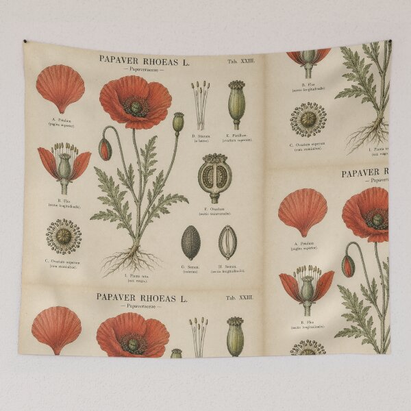 Item preview, Vintage Botanical Poppy Illustration designed and sold by Girlsale.