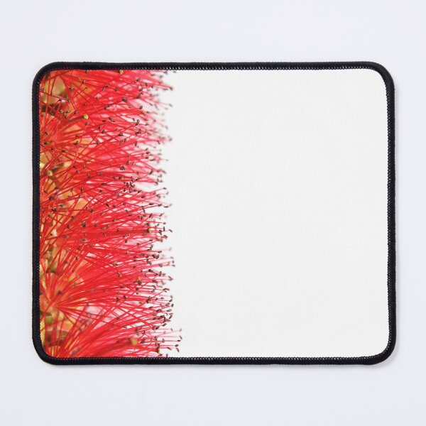 Item preview, Crimson Bottlebrush Border Minimalist Floral designed and sold by 27Tammy27.