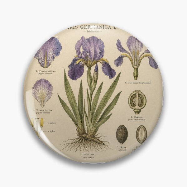 Item preview, Vintage Purple Iris Botanical Illustration designed and sold by Girlsale.