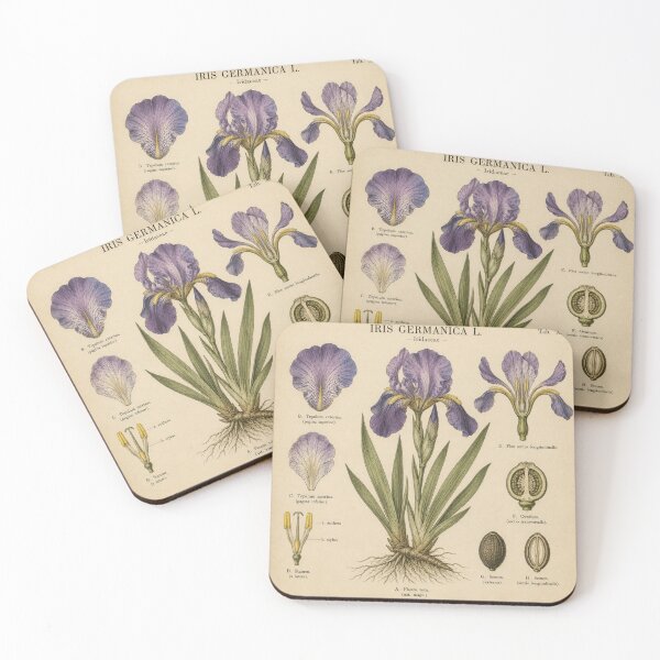 Item preview, Vintage Purple Iris Botanical Illustration designed and sold by Girlsale.