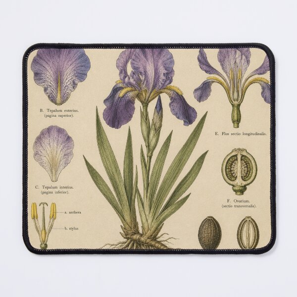 Item preview, Vintage Purple Iris Botanical Illustration designed and sold by Girlsale.