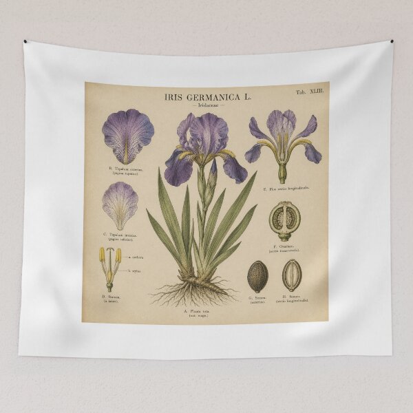 Item preview, Vintage Purple Iris Botanical Illustration designed and sold by Girlsale.