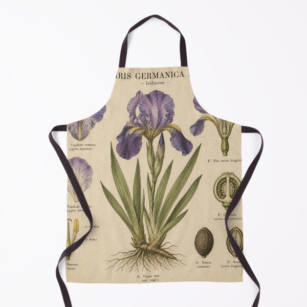 Item preview, Vintage Purple Iris Botanical Illustration designed and sold by Girlsale.