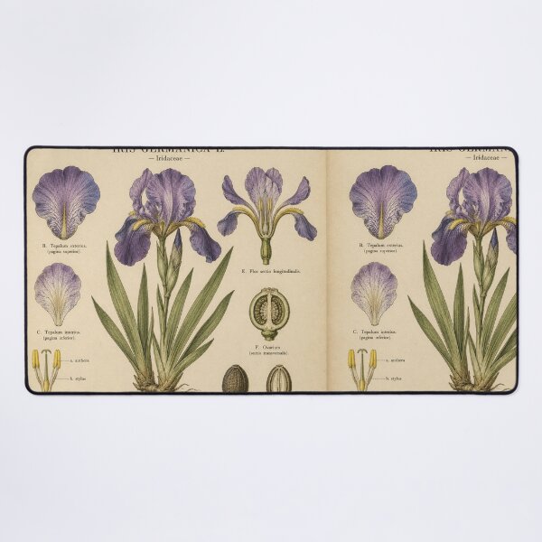 Item preview, Vintage Purple Iris Botanical Illustration designed and sold by Girlsale.