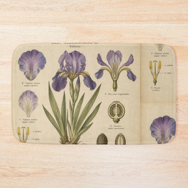 Item preview, Vintage Purple Iris Botanical Illustration designed and sold by Girlsale.