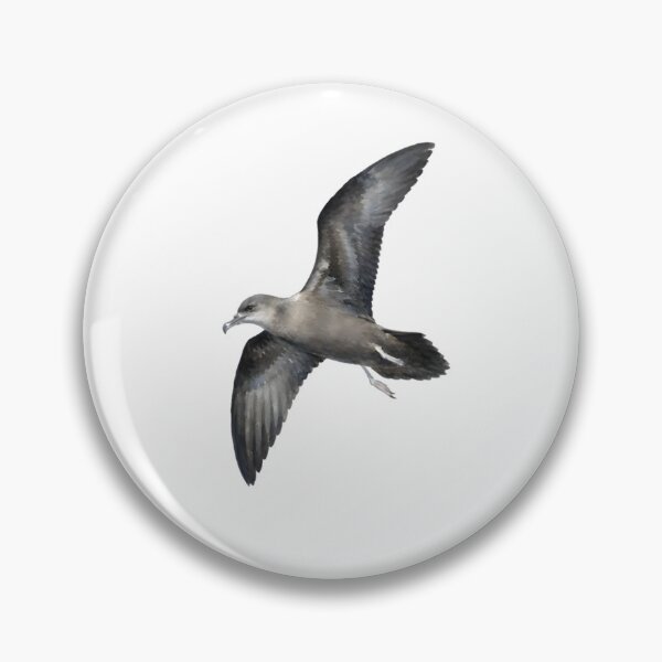 Item preview, Bulwer's Petrel (Bulweria bulwerii) designed and sold by HOMETOWN86.