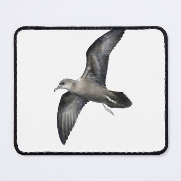 Item preview, Bulwer's Petrel (Bulweria bulwerii) designed and sold by HOMETOWN86.